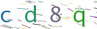 Verify Code