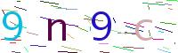 Verify Code