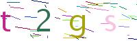 codice di verifica