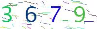 codice di verifica