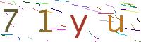 Verify Code