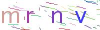 quin Code