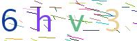 Verify Code